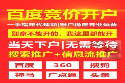 搜索引擎营销（SEM）中竞价员的角色与案例
